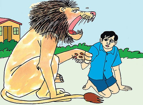 சித்திரக்கதை: சிங்கத்துக்குப் பிடித்த சிறுவன்