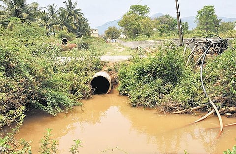 வெள்ளியங்காடு சுத்திகரிப்பு நிலையத்திலிருந்து வெளியேறும் உபரிநீரை உறிஞ்சுவதால் வறட்சி: விவசாயிகள் வேதனை; அதிகாரிகள் நடவடிக்கை எடுக்கவில்லை என புகார்