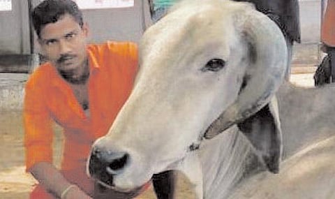 கோரக்நாத் கோயிலில் தொண்டாற்றும் முஸ்லிம் இளைஞர்: முதல்வர் யோகி ஆதித்யநாத்தின் அன்புக்குரியவர்