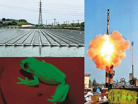 சேதி தெரியுமா? - மிதக்கும் சூரிய மின் நிலையம்