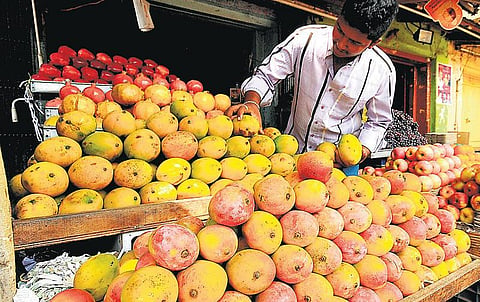 மாம்பழம் சீசன் தொடங்கியது: சந்தைக்கு முக்கிய ரகங்கள் வராததால் மக்கள் ஏமாற்றம்