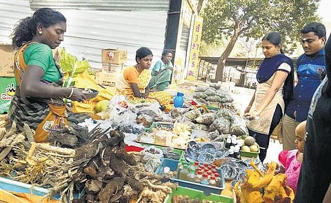 வெள்ளியங்கிரி மலை டூ சென்னை: பழங்குடி மூலிகைகளுக்குக் கூடும் மவுசு