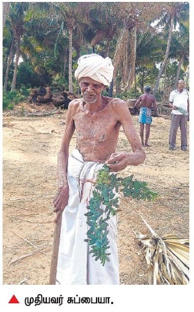 85 வயதிலும் வயல் வேலை செய்யும் நாகர்கோவில் விவசாயி: மூக்குக் கண்ணாடி, வியாதிகளுக்கு இடமில்லை