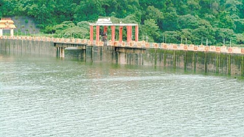 தமிழகத்தில் இத்தனை ஆறுகளா?