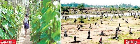 போஸ்கோ வரலாற்றுப் பிழை