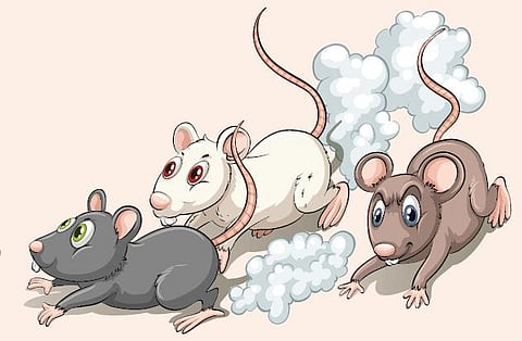 குழந்தைப் பாடல்: சுண்டெலி
