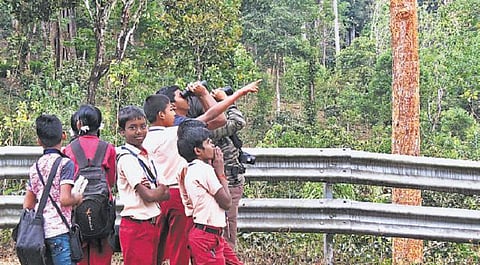 பறவைகள் கணக்கெடுப்புடன் அவற்றின் வாழ்வியல் குறித்தும் ஆராயும் மாணவர்கள்: சூழலியல் கல்விக்கு ஊக்கமளிக்கும் வால்பாறை அரசுப் பள்ளி