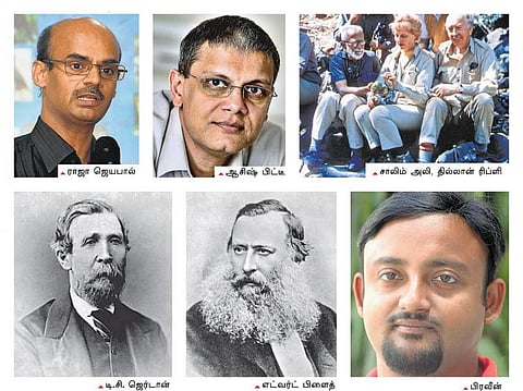 எண்ணில் அடங்கிய பறவைகள்!
