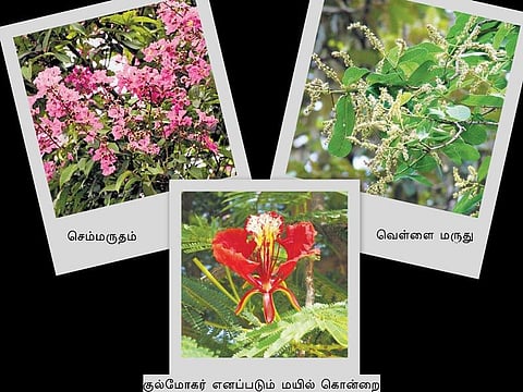வாசிப்பை வசப்படுத்துவோம்: வணக்கத்துக்குரிய நூல்!