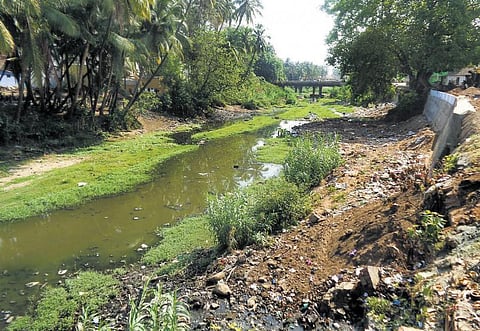 கூவமாக மாறிவரும் பெரியகுளம் வராக நதி: கழிவு நீர் கலப்பதை தடுக்க சமூக ஆர்வலர்கள் வலியுறுத்தல்