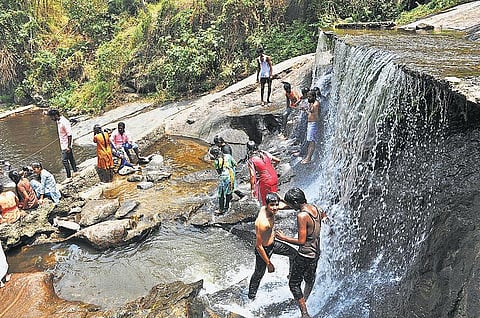 வறட்சியிலும் மூடப்படாத கோவை குற்றாலம் - நீரின்றித் தவிக்கும் வன விலங்குகள்: இயற்கை ஆர்வலர்கள் அதிருப்தி