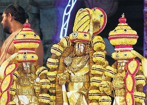 ஏழுமலையானுக்கு படைக்கப்படும் நைவேத்தியங்கள் என்ன? - ருசிகர தகவல்கள் வெளியானது