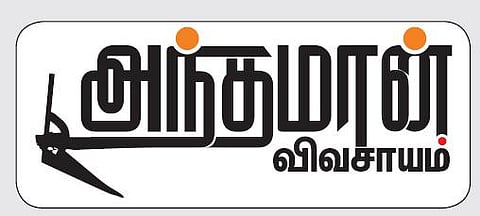 அந்தமான் விவசாயம் 33: கிராம்பு: எதிர்காலத்தின் பணவங்கி