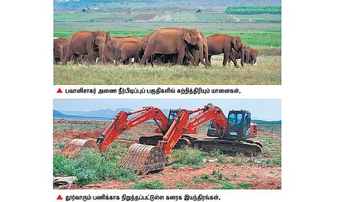 வண்டல் மண் எடுக்கும் பணியால் பவானி அணை நீர்பிடிப்புப் பகுதியில் பாதிக்கப்படும் உயிர்ச்சூழல்: யானைகள் ஊடுருவலால் அச்சத்தில் சிறுமுகை வனத்துறை