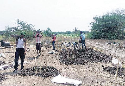 கோடை விடுமுறையில் கோயில் சீரமைப்பு, மரம் வளர்ப்பில் ஈடுபடும் சிறுவர்கள்: பயனுள்ள பணியில் ஈடுபட்டுள்ளதாக பெருமிதம்