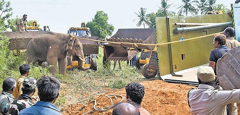 மூர்க்கம் காட்டிய காட்டு யானை கடந்து வந்த பாதை