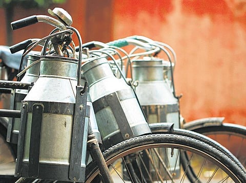 தனியார் நிறுவன பாலில் கலப்படம்: சிபிஐ விசாரிக்க உத்தரவிடக் கோரி பொதுநல வழக்கு தாக்கல்