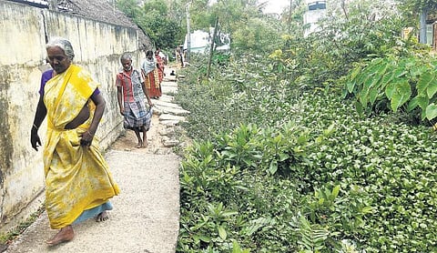 திருவாரூரில் தனித்தீவான செங்கழுநீர் ஓடைத்தெரு: குடிநீர், சுகாதாரம் உள்ளிட்ட அடிப்படை வசதிகள் ஏதுமில்லை - நகராட்சி மீது பொதுமக்கள் குற்றச்சாட்டு