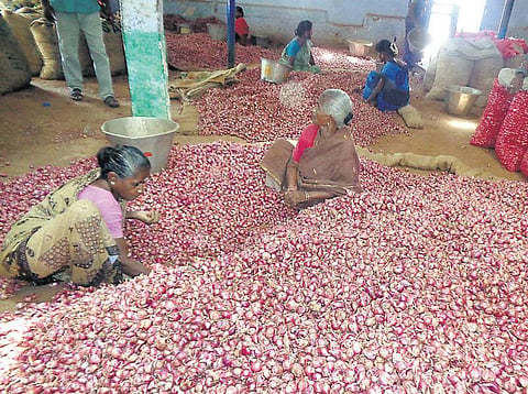 விளைச்சல் பாதிப்பால் சின்னவெங்காயம் கிலோ ரூ.125-ஐ தொட்டது: தட்டுப்பாட்டை சமாளிக்க கர்நாடகாவில் இருந்து இறக்குமதி