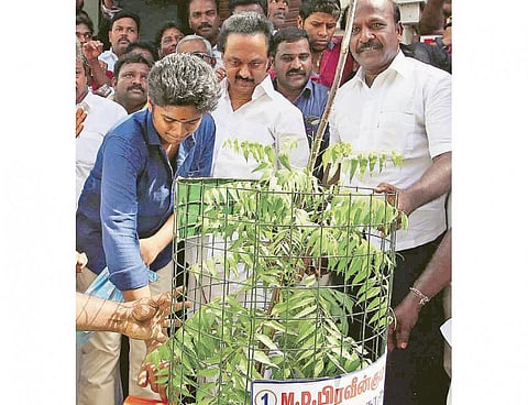 தமிழகத்தை பசுமையாக்க மரக்கன்றுகள் நடுவோம்: திமுக செயல் தலைவர் மு.க.ஸ்டாலின் அழைப்பு