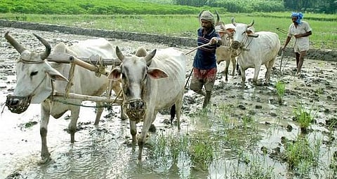 மும்பையில் விவசாய நிலம் கிடையாது; ஆனால் 694 விவசாயிகள்!- குழப்பத்தில் மஹாராஷ்டிரா முதல்வர்