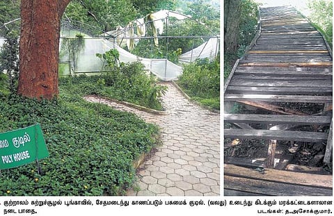 பராமரிப்பின்றி பொலிவிழந்த குற்றாலம் சுற்றுச்சூழல் பூங்கா: சுற்றுலா பயணிகள் வேதனை