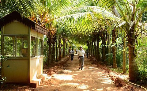 தினகரன் பண்ணை வீட்டில் பூட்டி சீல் வைத்த அறையில் வருமான வரித்துறையினர் ஆய்வு