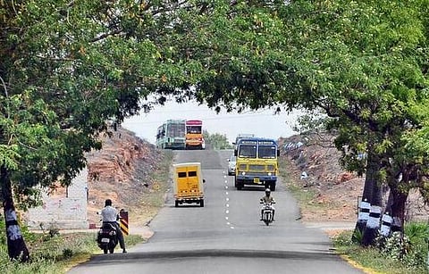வன வளத்தை இழக்கும் தமிழகம்: தென் மாநிலங்களிலேயே குறைந்த வளர்ச்சி