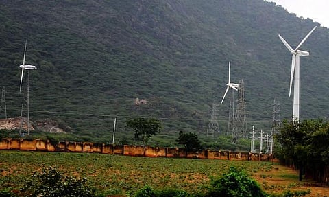 காட்டுயிர்களுக்கு எமனாகும் காற்றாலைகள்