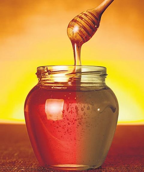 சின்ன சின்ன வரலாறு: 8: சொட்டுத்தேன்