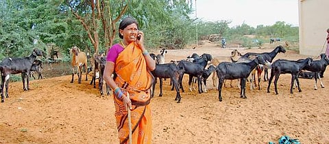 வாய்ஸ் மெயிலும்.. ஆட்டுக்கார அலமேலுக்களும்..!- போடியில் சாதிக்கும் பெண்கள்