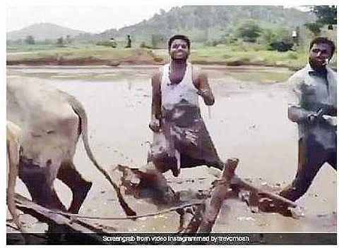 ‘கிகி’ பாடலுக்கு ஏர் உழுதுகொண்டே நடனமாடிய சகோதரர்கள்: வீடியோவை லட்சக்கணக்கானோர் பார்த்துள்ளனர்