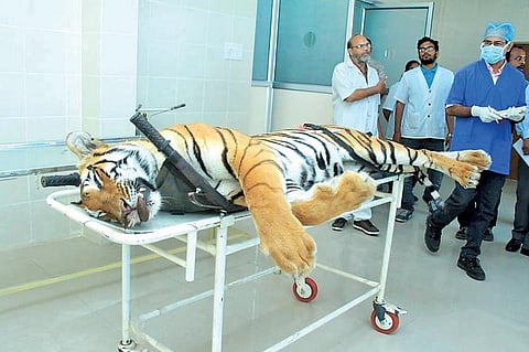யாருக்கானது இந்தக் கொலை?