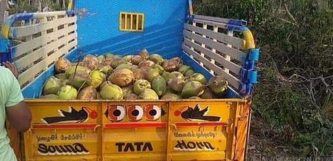 சோகத்திலும் நெகிழ்ச்சி: நிவாரணப் பொருட்கள் அனுப்பிய மாணவர்களுக்கு இளநீர் அனுப்பிய டெல்டா விவசாயிகள்