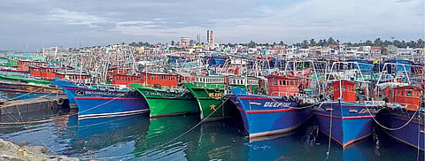 ஒக்கி புயல் தாக்கி ஓராண்டு ஆகியும் மீளமுடியாத சோகம்: பயிர் இழப்பீடு பெற முடியாமல் விவசாயிகள் தவிப்பு