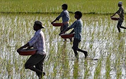 ரூ. 600 கோடி விவசாயக் கடன் தள்ளுபடி: பாஜக ஆளும் அசாம் அரசு உத்தரவு