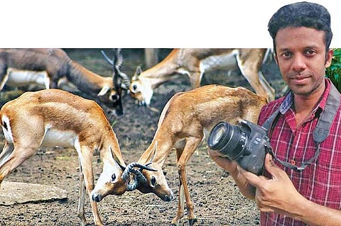 காட்டில் தவமிருக்கும் ‘கேமரா காதலர் - ‘வைல்டு லைஃப் போட்டோகிராபியில் கலக்கும் கோவை இளைஞர்