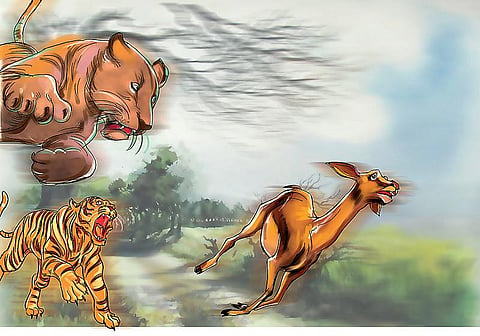 கதை: நட்புக்கு ஏங்கிய புலி!