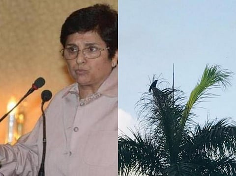 நிறவெறி விமர்சனம்: மீண்டும் காக்கை புகைப்படத்தை பதிவிட்ட கிரண்பேடி