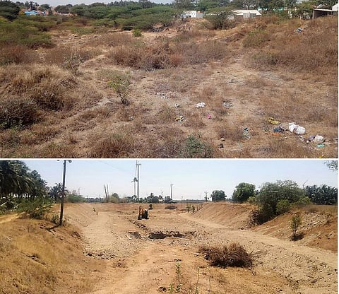 கோடையைக் கொண்டாடுவோம்: வறட்சியிலும் ஆக்கிரமிப்பிலும் இருந்து குளங்களை மீட்டெடுக்க நீங்கள் தயாரா?