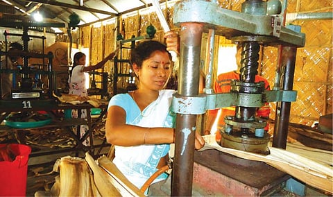 சூழல் காப்போம்: சிற்றுண்டிக்குப் பானை