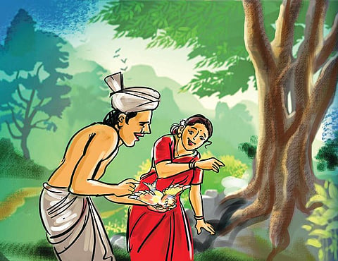 கதை: மந்திரப் பூசணி!