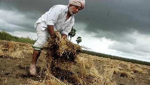 44% விவசாயிகளுக்கு மத்திய அரசின் ரூ.6 ஆயிரம் திட்டத்தில் நிதியுதவி சேரவில்லை