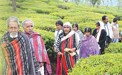 தமிழ்நாட்டு அரசியலில் பழங்குடிகள் குரல் எதிரொலிக்குமா?