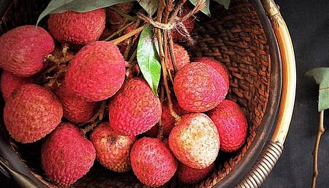 பிஹார் மூளை அழற்சித் துயரம்: 110 குழந்தைகளுக்கு மேல் பலி; 400க்கும் மேற்பட்ட குழந்தைகள் சிகிச்சையில்.. லிச்சிப் பழங்கள் காரணமா?- முழுமையான அலசல்