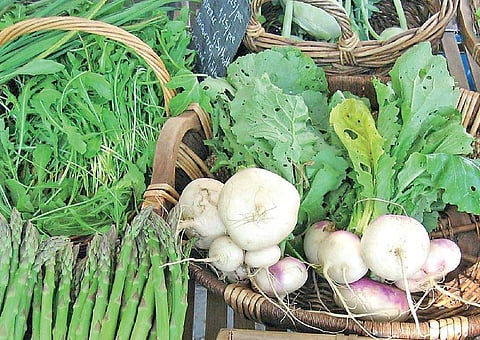 எது இயற்கை உணவு 08: பசியைத் தீர்க்குமா இயற்கை வேளாண்மை?