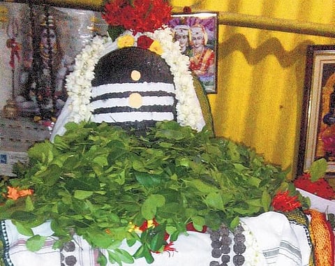 ஞாயிறு... ராகுகாலம்... பிரதோஷம்;
தோஷம் விலகும்; சந்தோஷம் நிலைக்கும்!