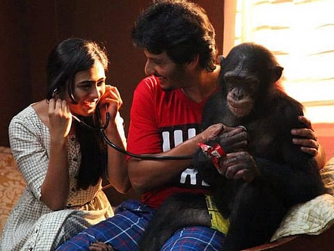 முதல் பார்வை: கொரில்லா