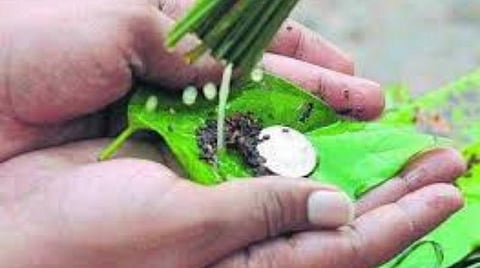 கிரகண தர்ப்பணம்; ஆடி மாத தர்ப்பணம் மறக்காதீங்க! - நாலுபேருக்கு உணவுப்பொட்டலம் கொடுங்க!