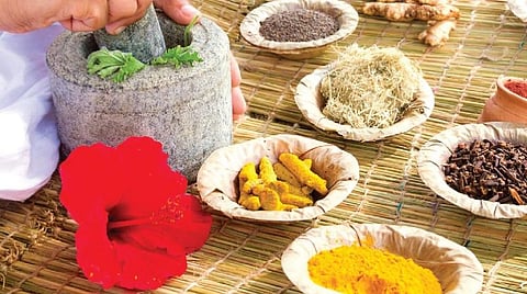 சிகிச்சை டைரி 14: விளக்குத்தூண் வைத்தியர்